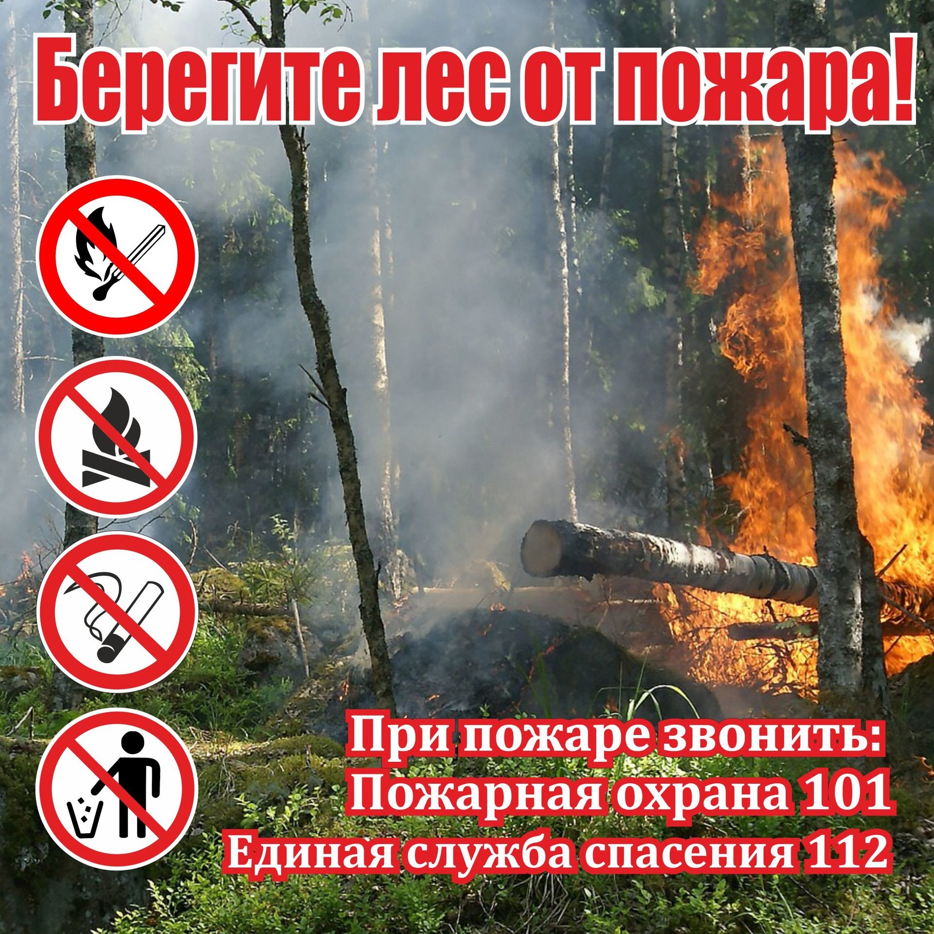 Лесные пожары класс опасности. Берюгите лет от пожара. Берюгите лет от пужыра. Берегите лес. Пожарнаябзопаснсть пжав есу.